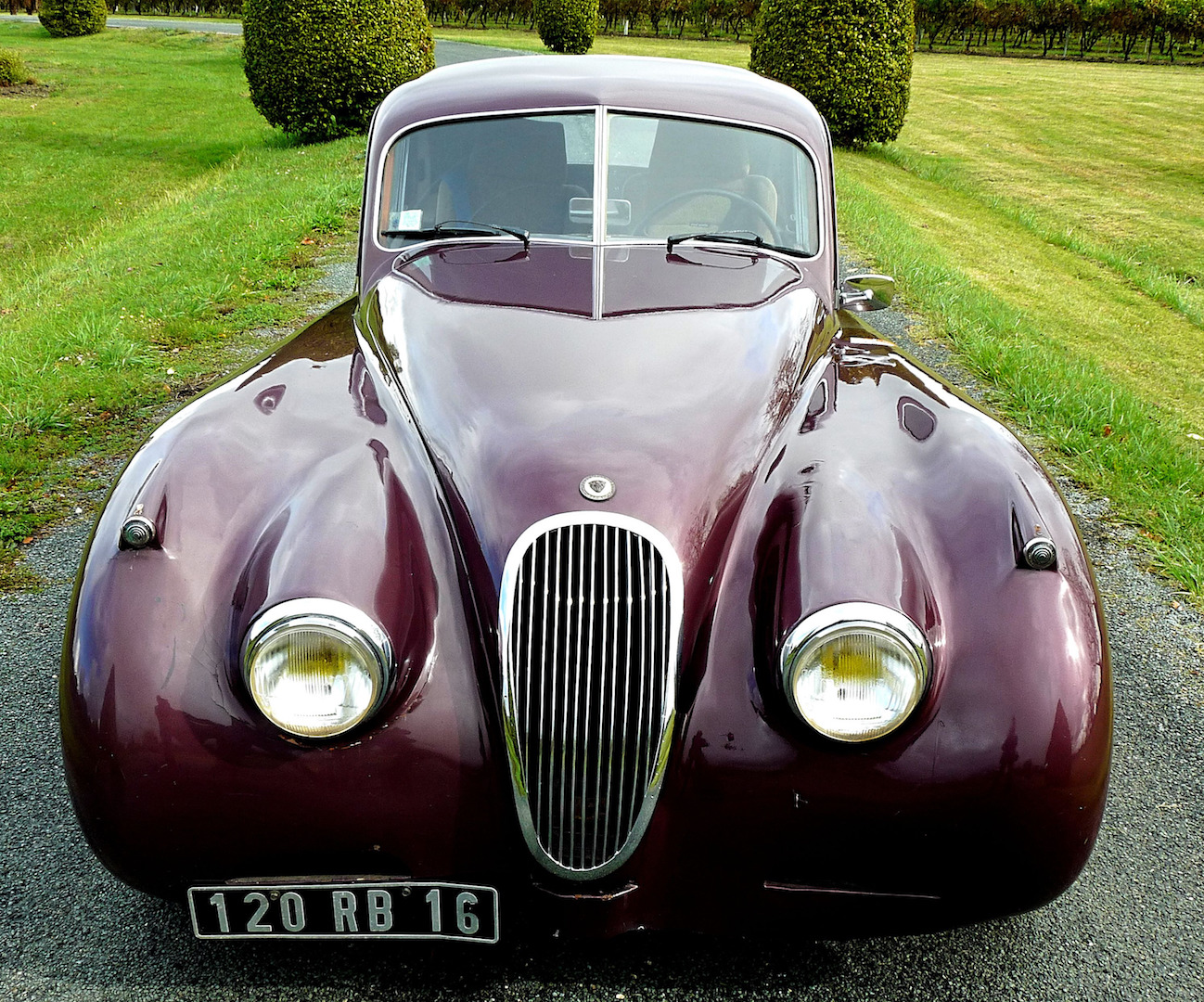 Jaguar XK 120 avant