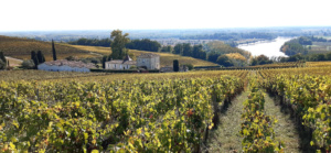 Panorama du chateau Biac